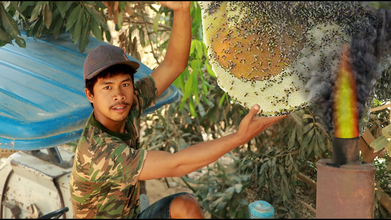 Wow Sweet honey mouth watering -  Wow, weird Take the bees use smoke tractor