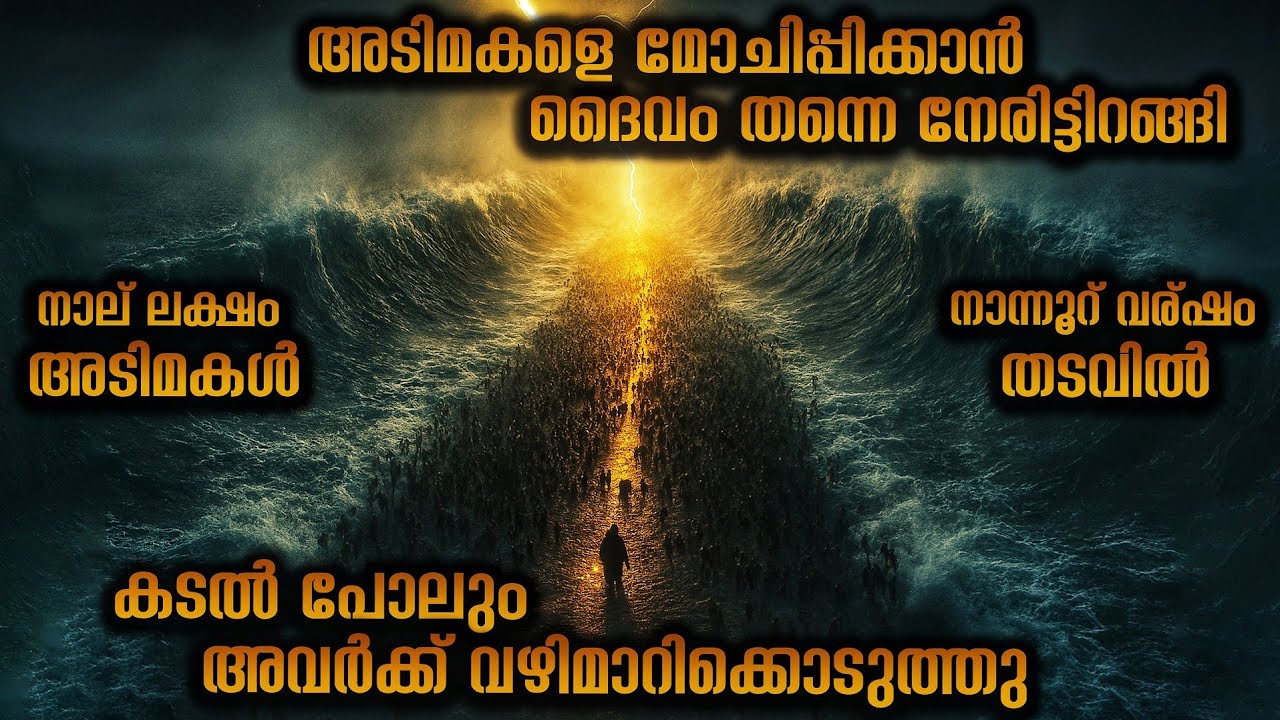 ലക്ഷക്കണക്കിന് തവളകളാണ് ഈജിപ്റ്റിനെ ആക്രമിച്ചത്  😳 ദൈവവും രാജാവും തമ്മിലുള്ള യുദ്ധങ്ങൾ  💯 Movieflix