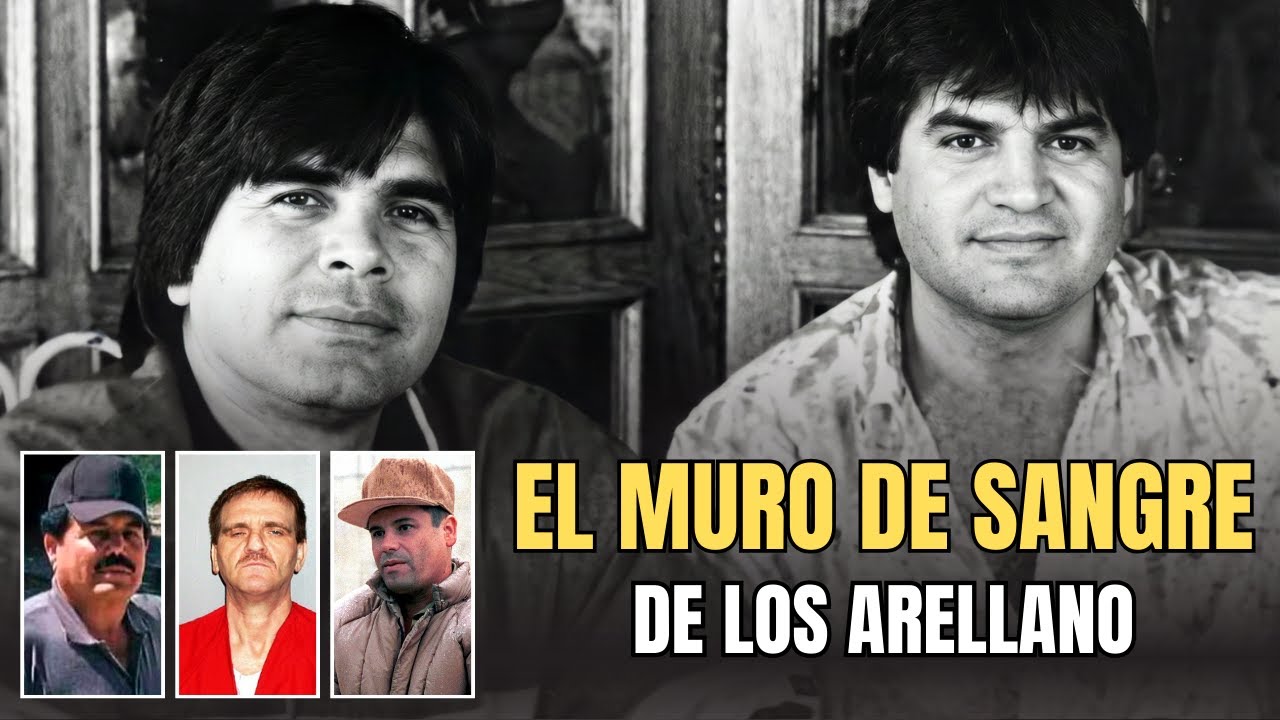 EL TERROR DE LOS ARELLANO FÉLIX: El Pacto De Muerte Que DESTRUYÓ La Paz En Tijuana