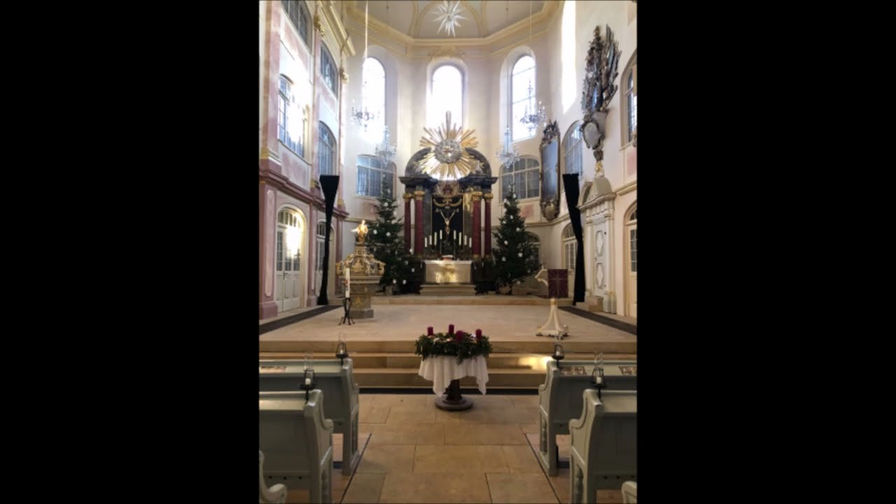 František Xaver Brixi: Pastorella in C-Silbermannorgel 1730 Live!