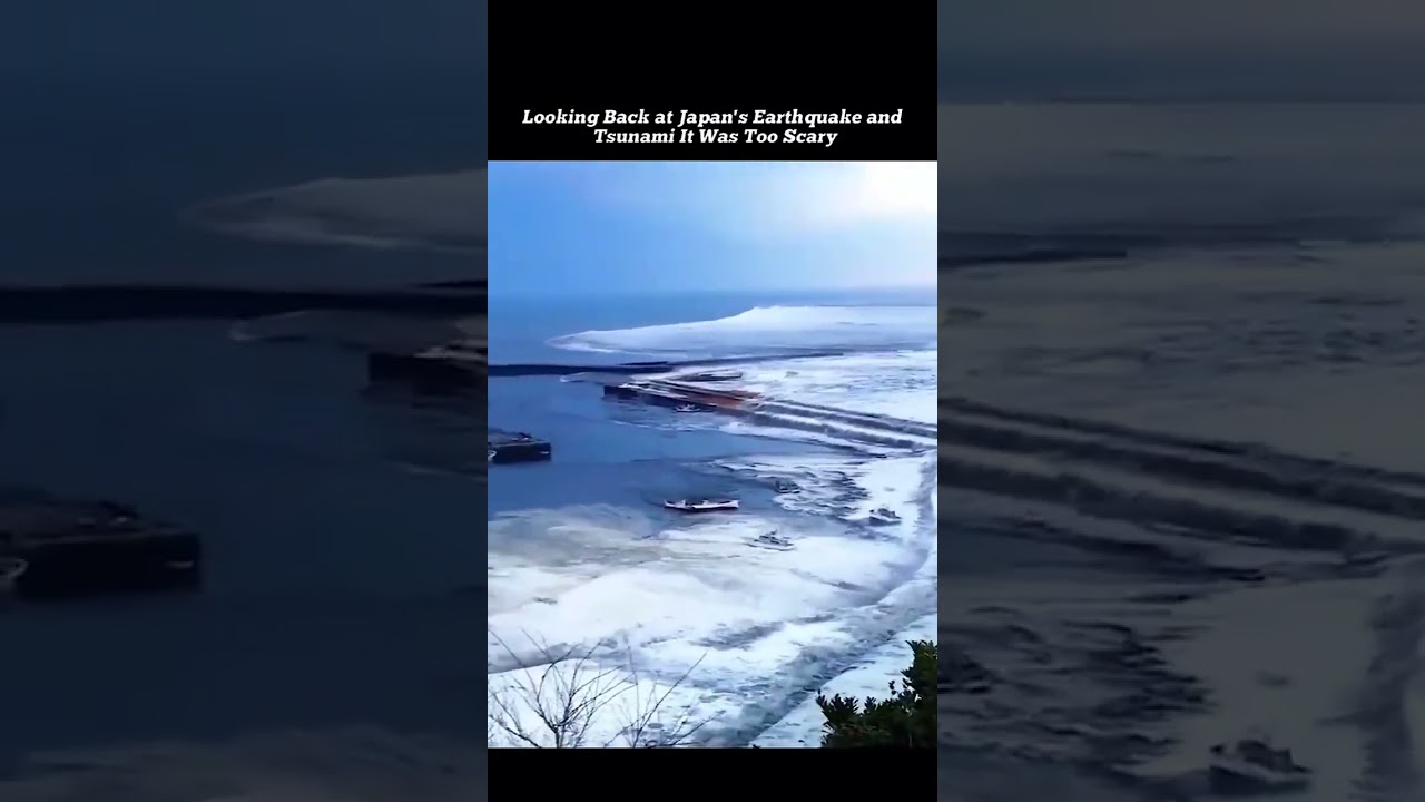 2011 Japan earthquake  