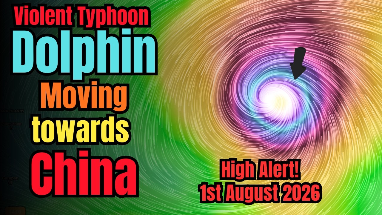 Warning: Typhoon DOLPHIN Latest News, Hong Kong Weather Warning, 01 August 2026, HK Weather, Cyclone