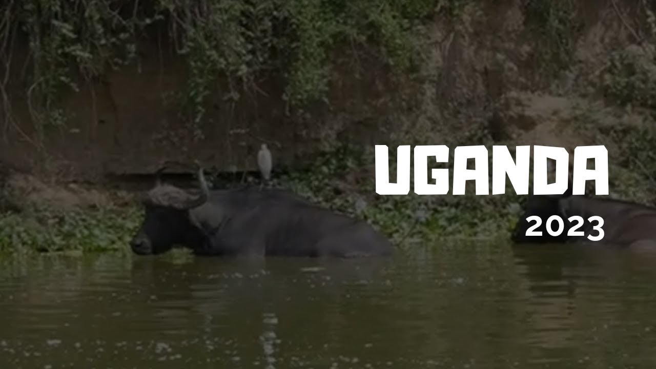 Uganda, 2023