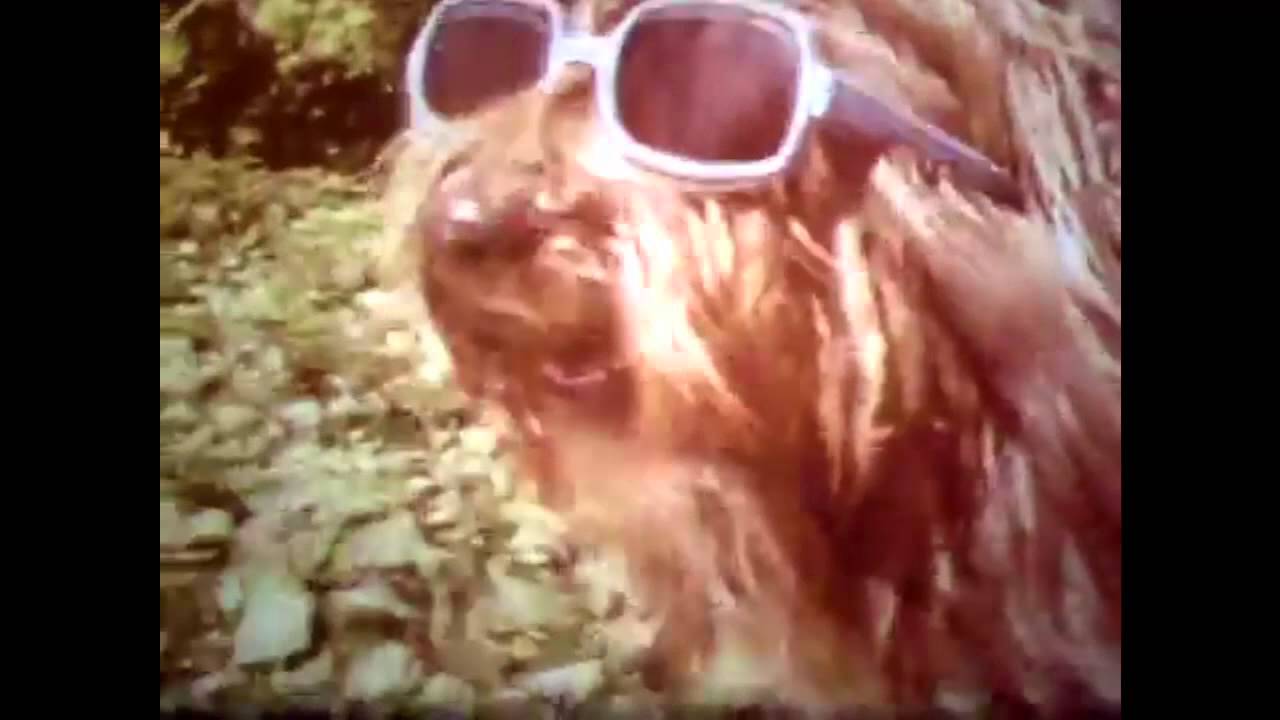 01 - Breeders - Little Fury