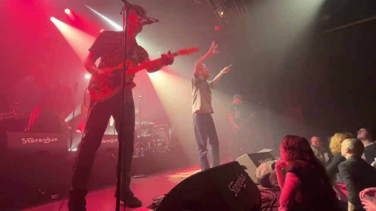 Washington Dead Cats - I&rsquo;m a dead cat  (live)
