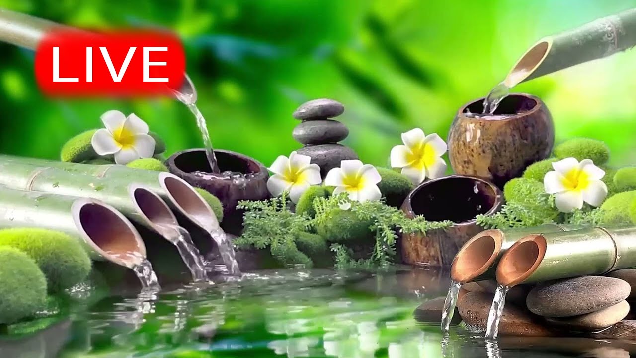 🔴 Relaxing Music 24/7, Calm Music, Yoga, Relaxing Sleep Meditation, Spa, Study Music, Nature Sounds