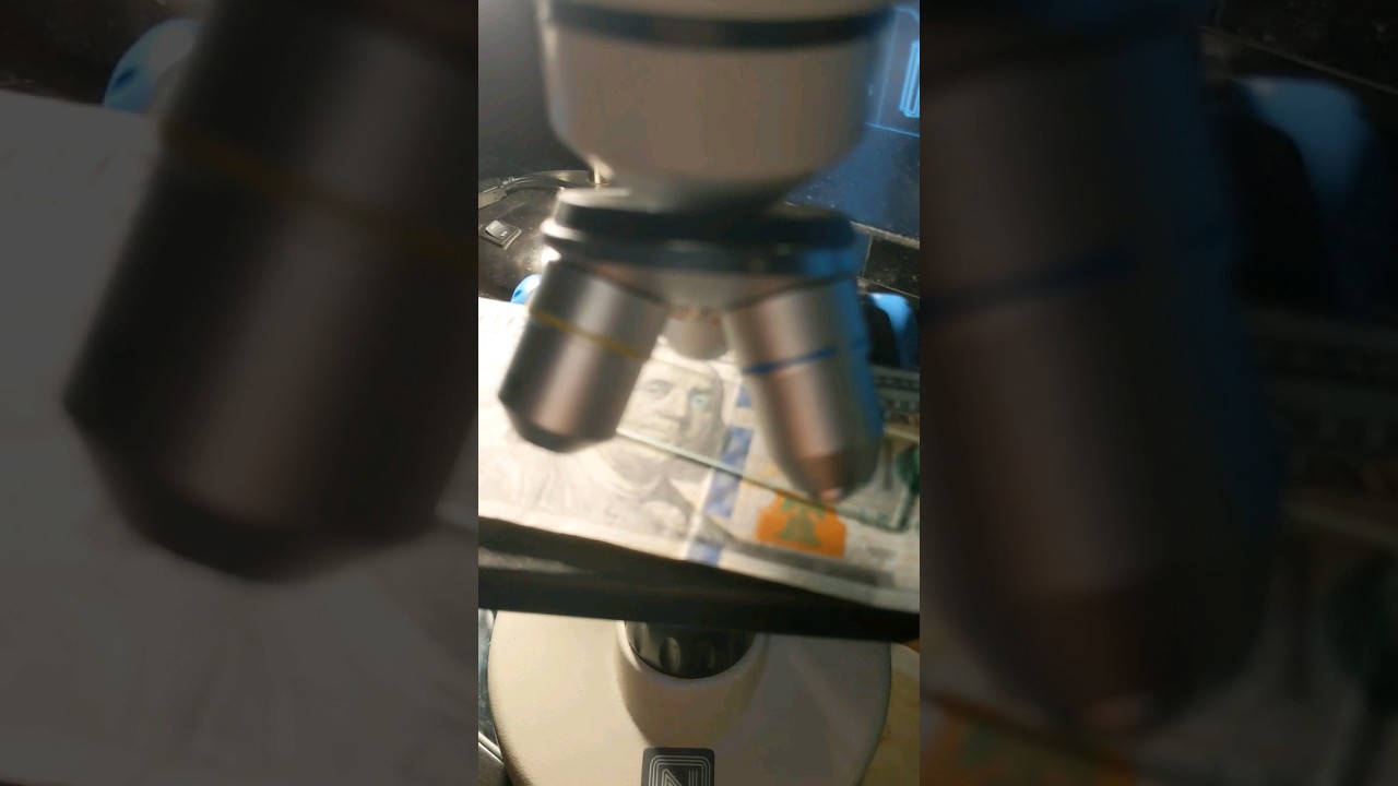 $100 Dollar Bill under Microscope🔬 👁️ 