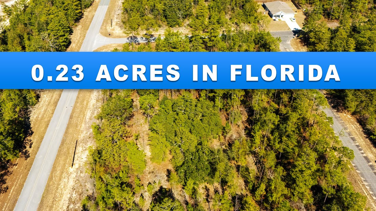 .23 Acres for Sale in Sunny Hills, FL (Washington County Land Tour)
