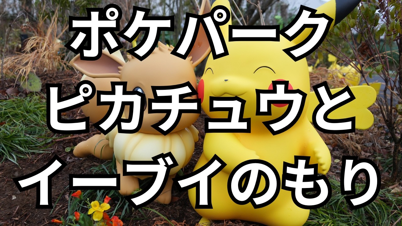 【ポケパークカントー２】ポケモンフォレスト ピカチュウとイーブイのもり ポケモン観察