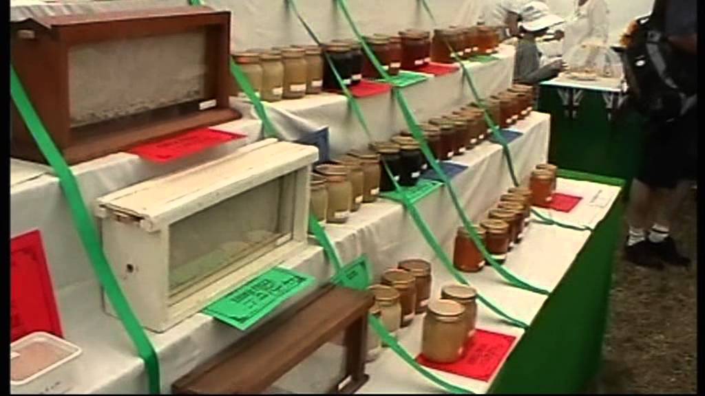 HONITON AGRICULTURAL SHOW 2013 2/3 by adr films