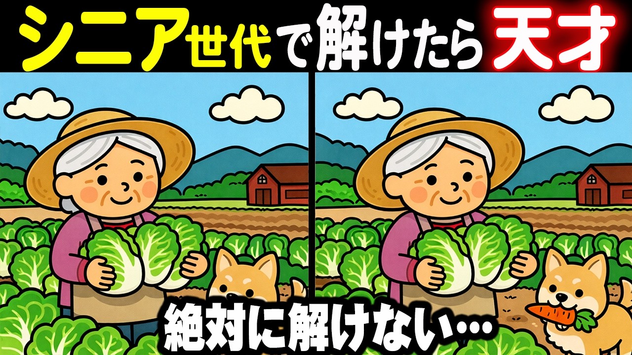 【難しいけど夢中になる間違い探しクイズ】あと少しで見つかりそう！迫る時間とドキドキ感がたまらない！レベルアップ式間違い探しで脳を鍛えよう！