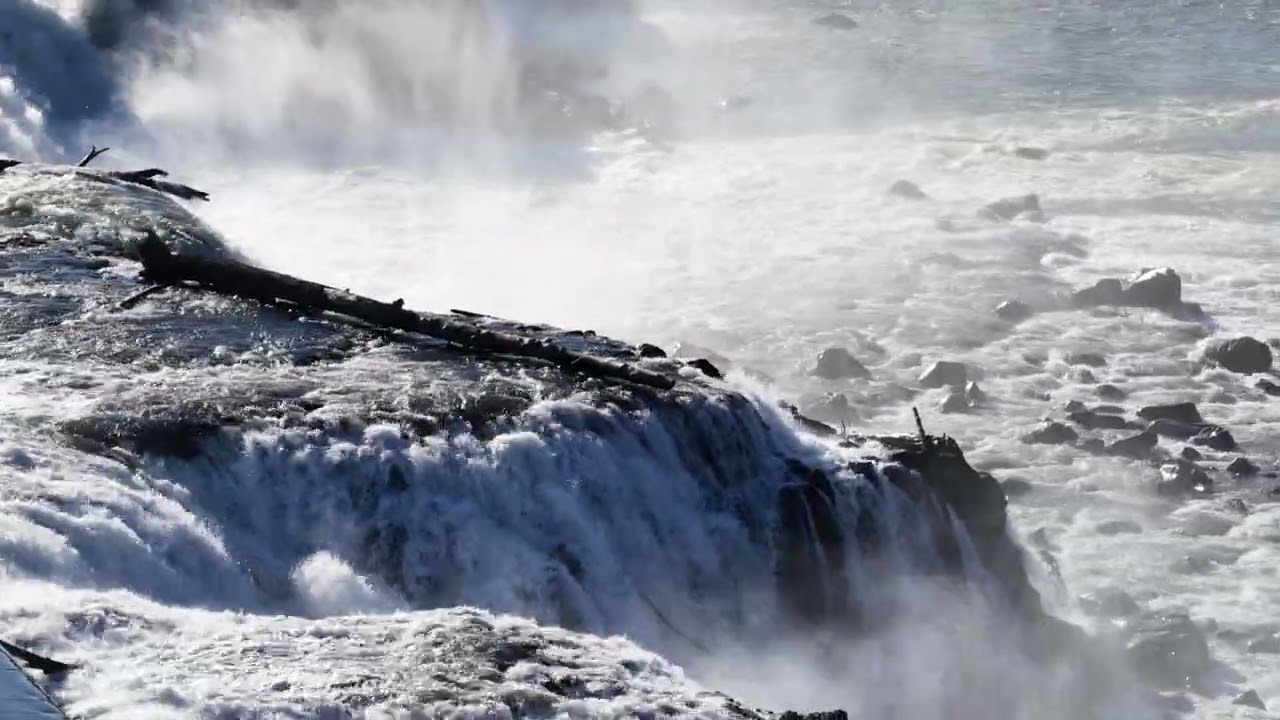 Willamette Falls 2 6 26