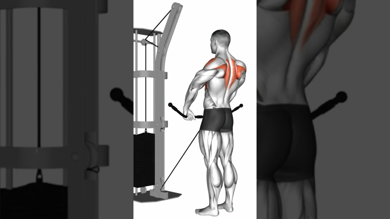 BREITE SCHULTER &Uuml;BUNGEN #schultertraining  #muskelaufbautipps #muskelaufbau #trainingstipps