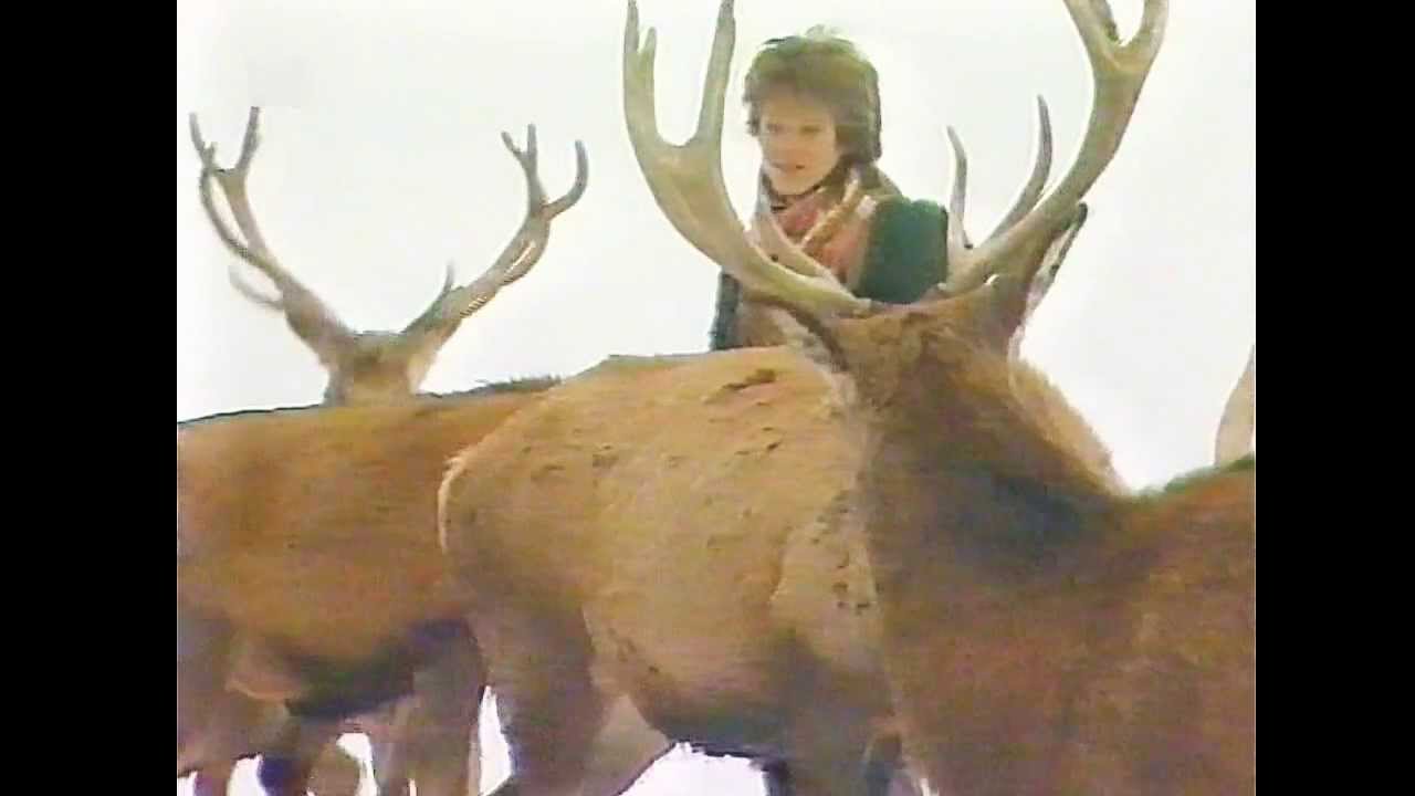 Nicki - Weil i immer no an Engerl glaub (1984 VHS)