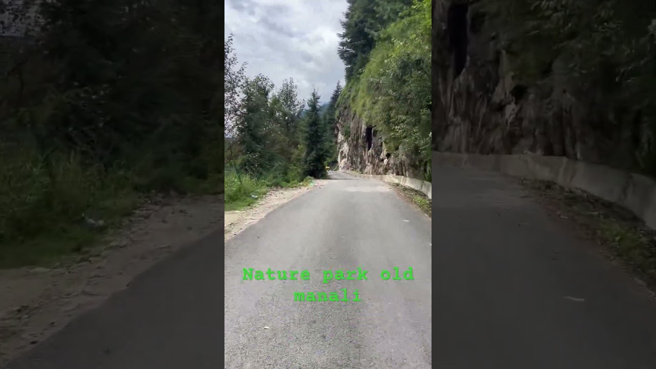 Old manali  nature park
