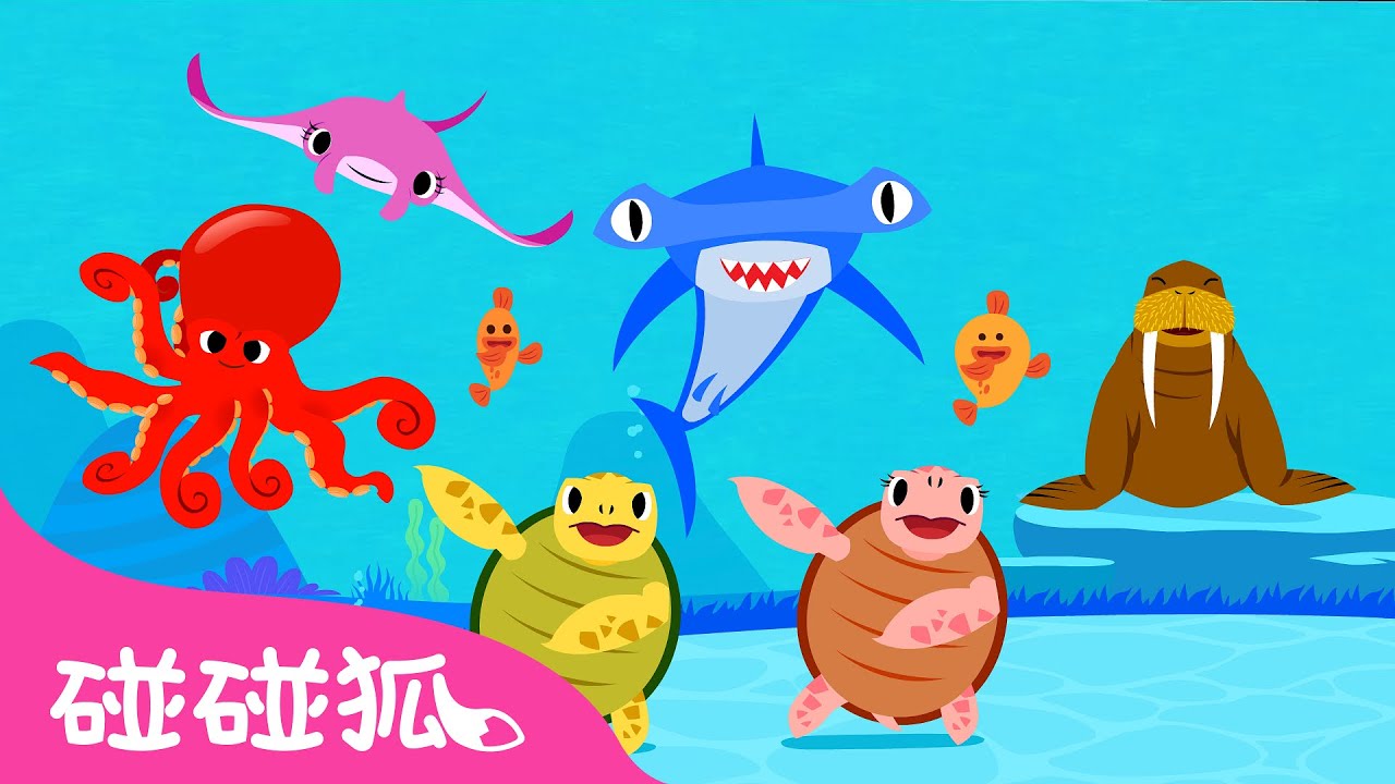 和海洋動物一起跳舞 | 認識海洋動物 | 最新動物兒歌 | 臺灣配音 | 兒歌童謠 | Nursery Rhymes | 碰碰狐 Pinkfong