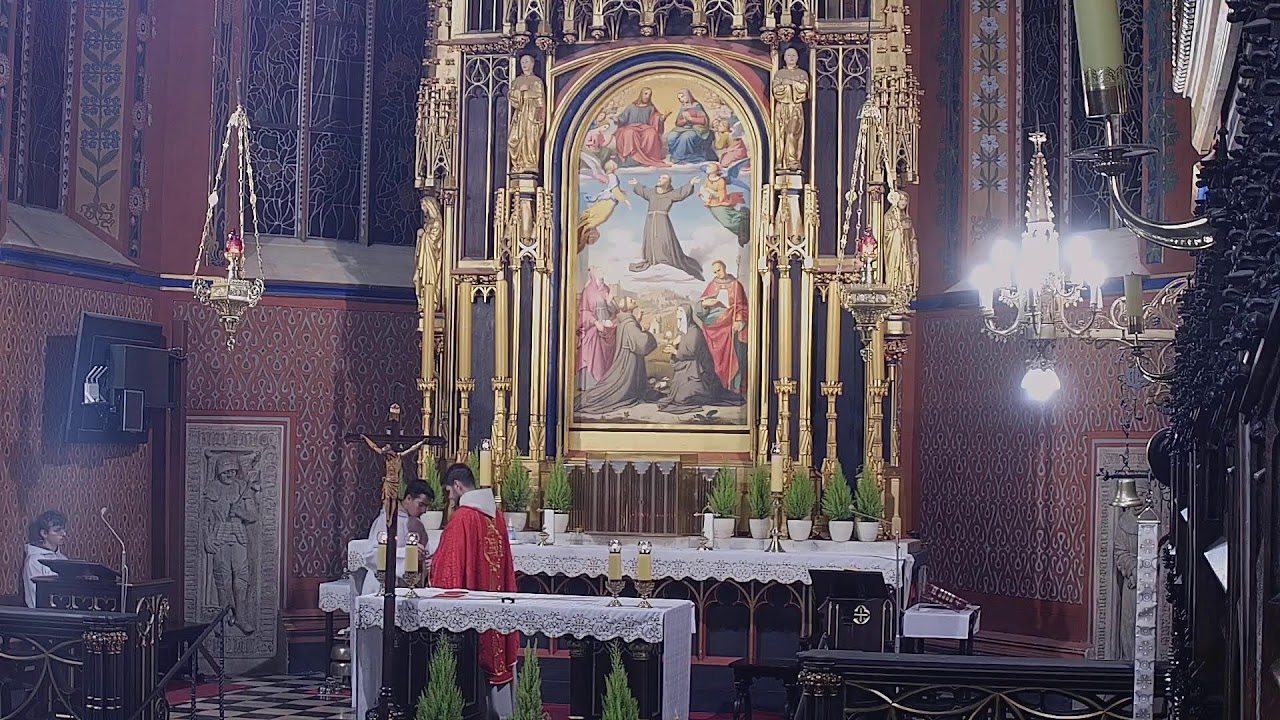Bazylika św. Franciszka z Asyżu w Krakowie – transmisja na żywo