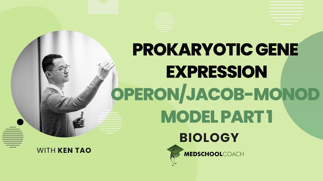 Operon/Jacob-Monod Model Part 1