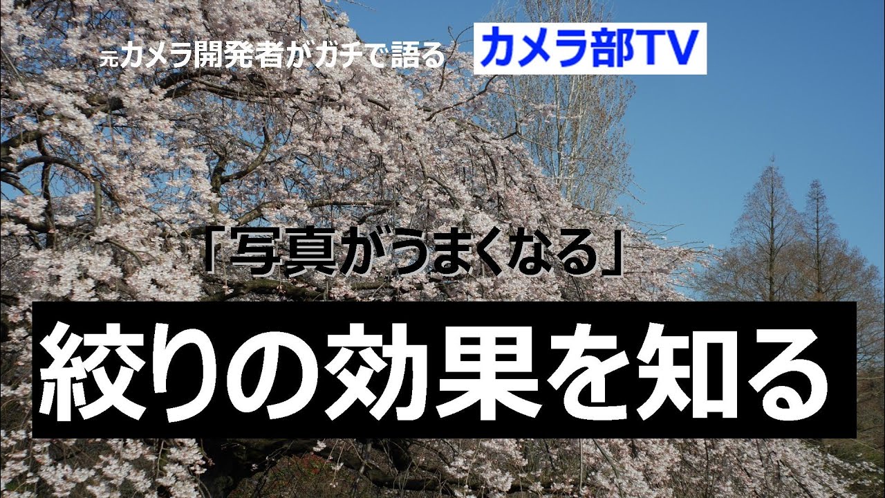 【写真がうまくなる】絞りの効果を知る