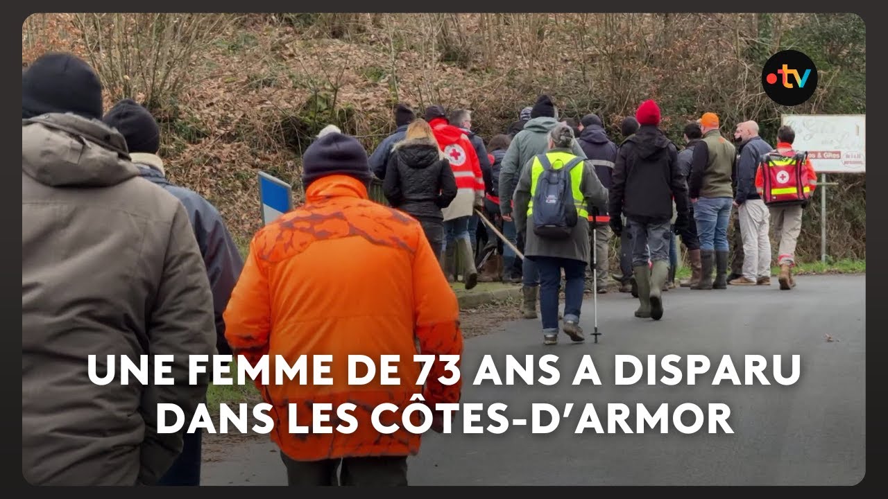 Une battue rassemble 500 personnes pour essayer de retrouver une femme de 73 ans portée disparue
