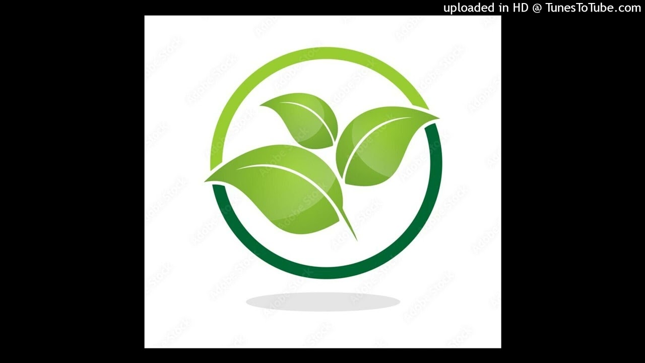 Histoire du Mandén 19 (Mandén Dôfô)