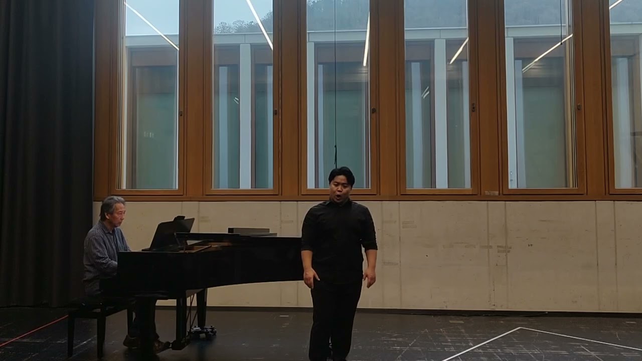 G.verdi - come dal ciel precipita