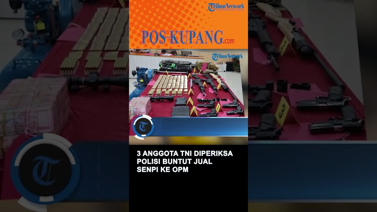Tiga Anggota TNI Diperiksa Polisi Buntut Penjualan Senjata ke OPM