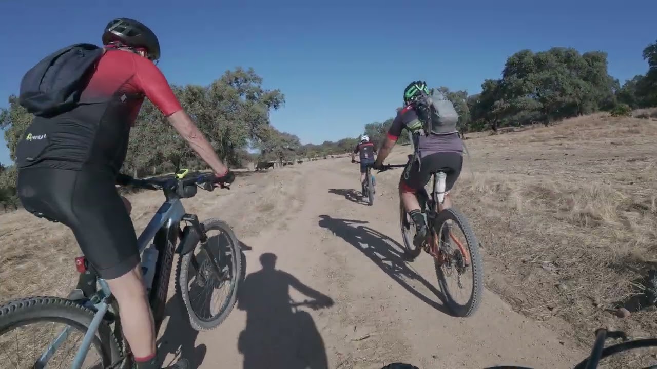 Mtb por Sevilla de la Tostá a la Cruzcampo - El Pedroso y Melonares 2025