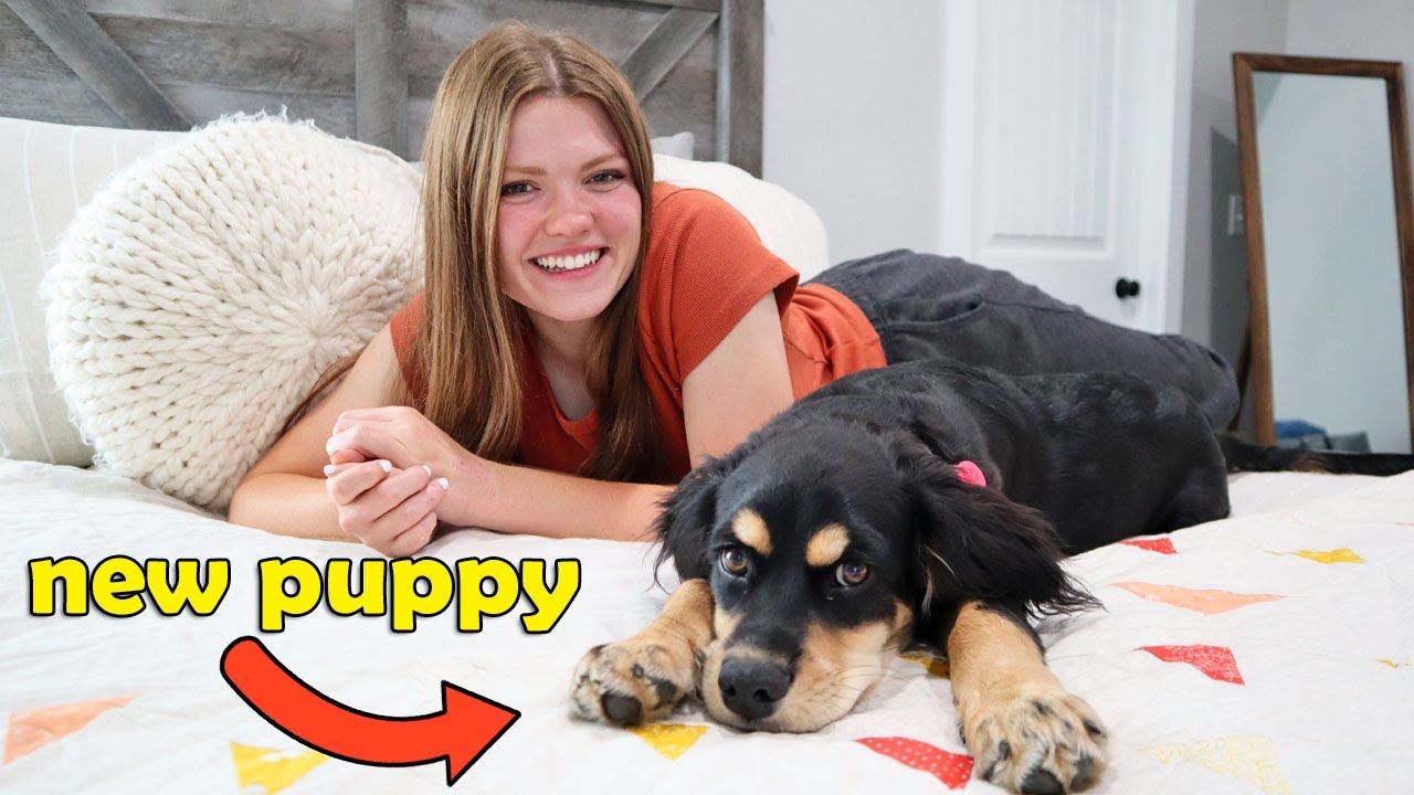 Our Morning Routine with a New Puppy!