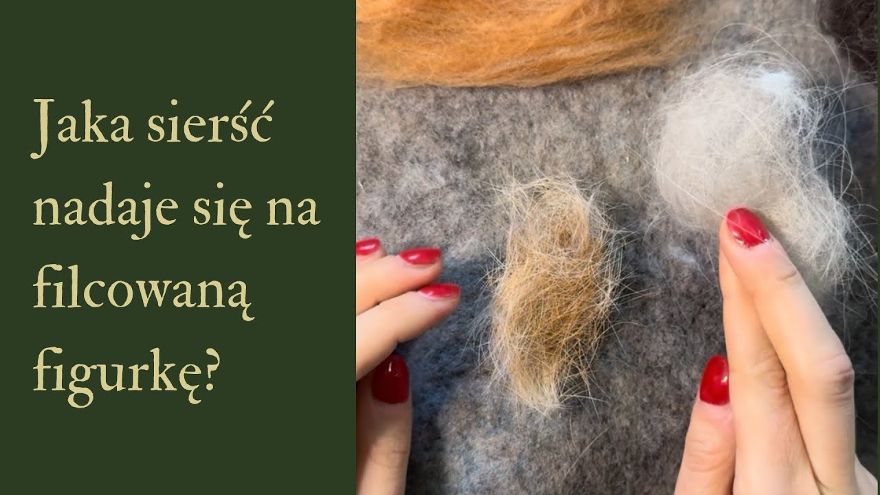 Filcowana figurka z sierści twojego psa/kota?
