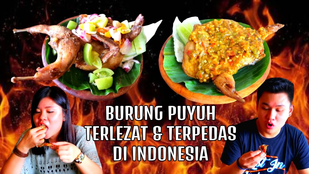 warung sangrai pelopor puyuh 