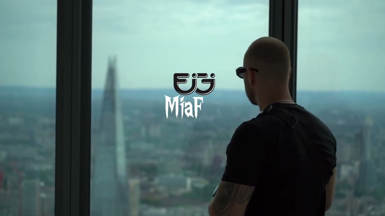FIGI-MiaFax (Official Visualizer)