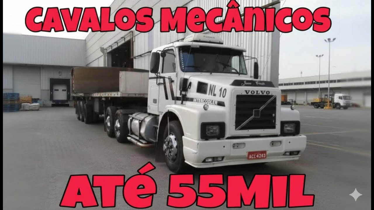 CAVALOS MECÂNICO VENDA ate 55Mil Oliveira Isaias