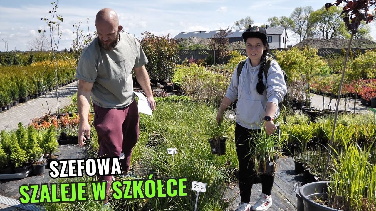 Budowa u Majstra stop! Jedziemy po rośliny!