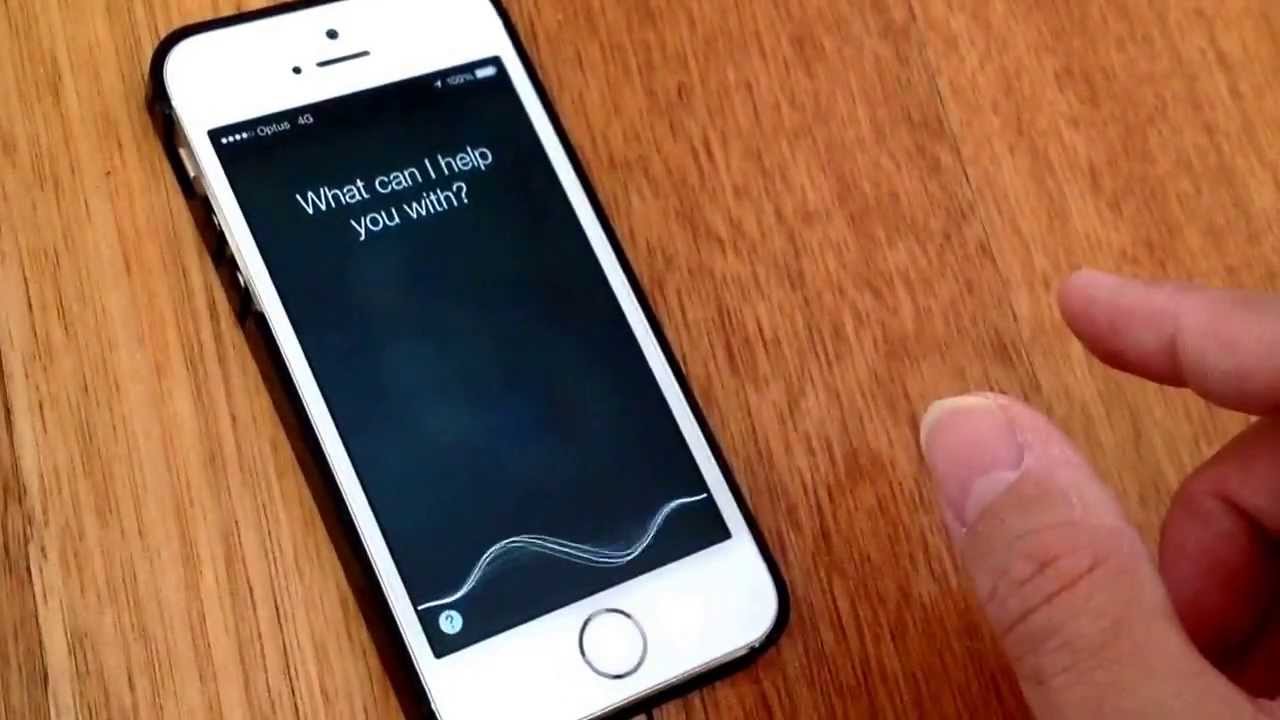 Apple iPhone iOS7 security bug.
