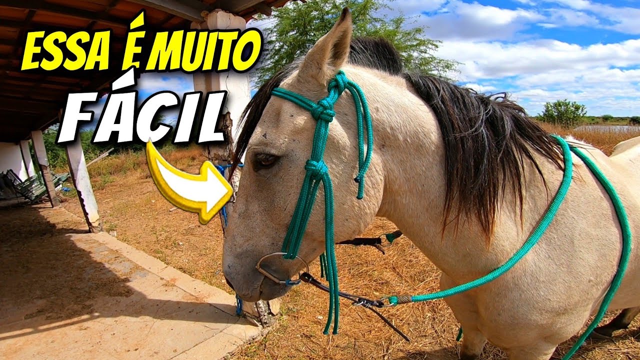 COMO FAZER UMA CABE&Ccedil;ADA DE CORDINHA PASSO A PASSO PRA IR PRA CAVALGADA | O DIA DIA DO VAQUEIRO.
