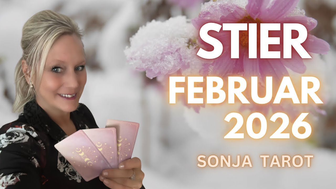 STIER FEBRUAR 2026 || Monatslegung - Tarotlegung 