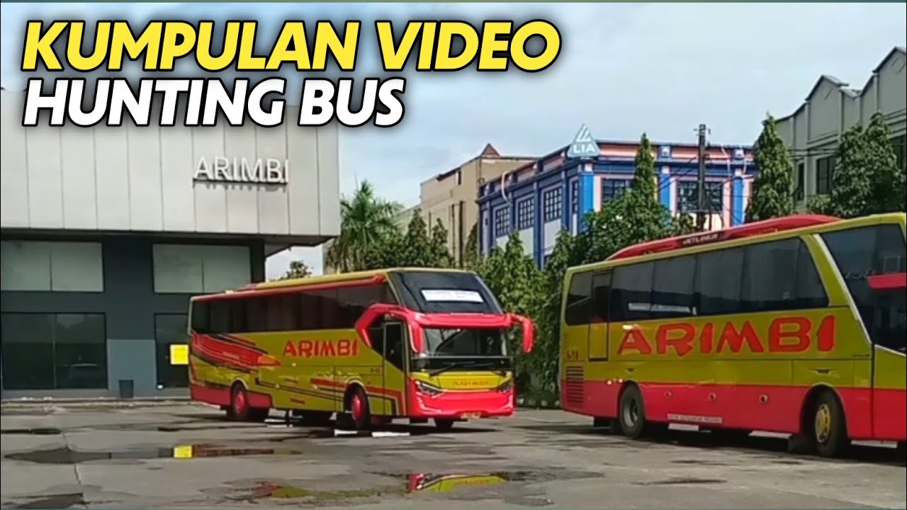 Kumpulan Video Hunting Bus ❗ ARIMBI, KENCANAQU, PRIMAJASA, STJ, SUMBER ALAM, GHTS, MAHARDHIKA dll