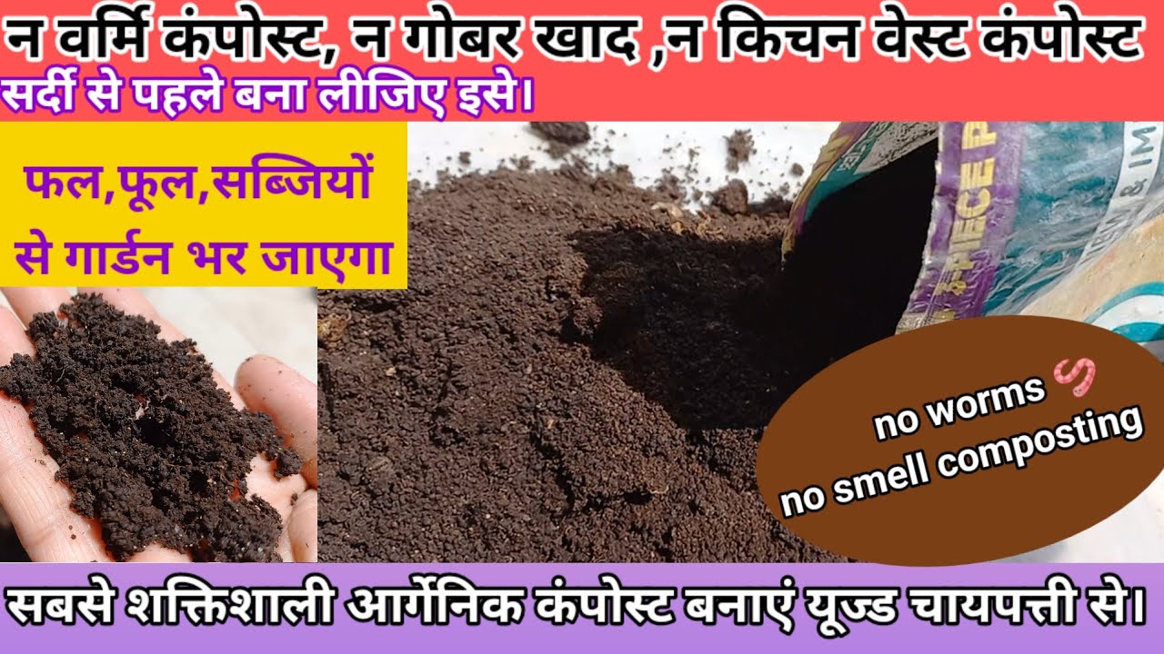 उपयोग की हुई चायपत्ती से खाद कैसे बनाएं।फल,फूल और सब्जियों में चाय पत्ती खाद का जादू#garden#skgarden