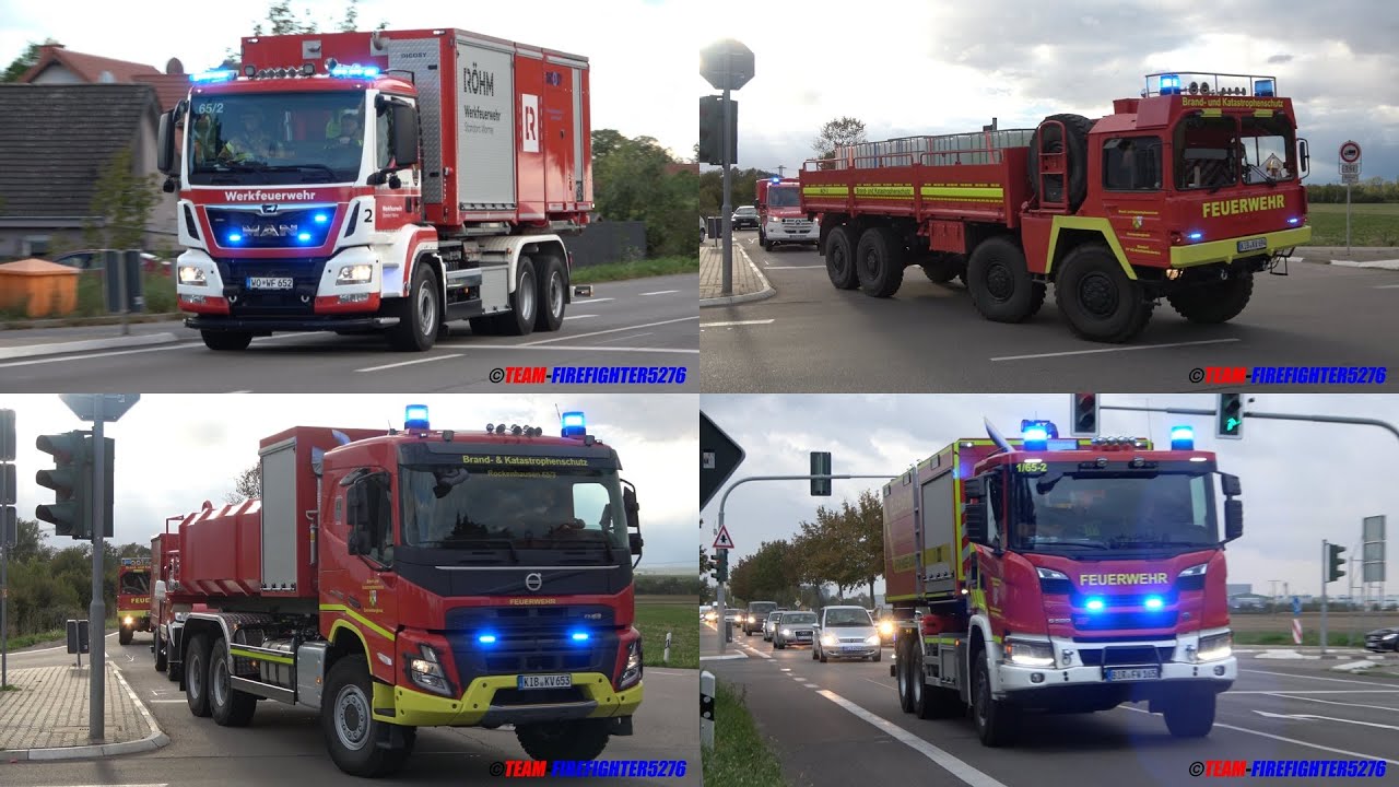 [ausgedehnter Flächenbrand in den Rheinauen] zahlreiche Einsatzkräfte aus Rheinland-Pfalz im Einsatz