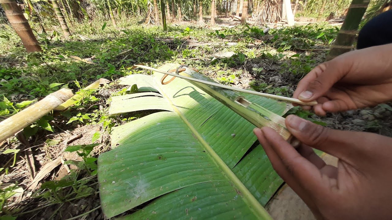 cara membuat AlAT berburu tradisional bambu making easy