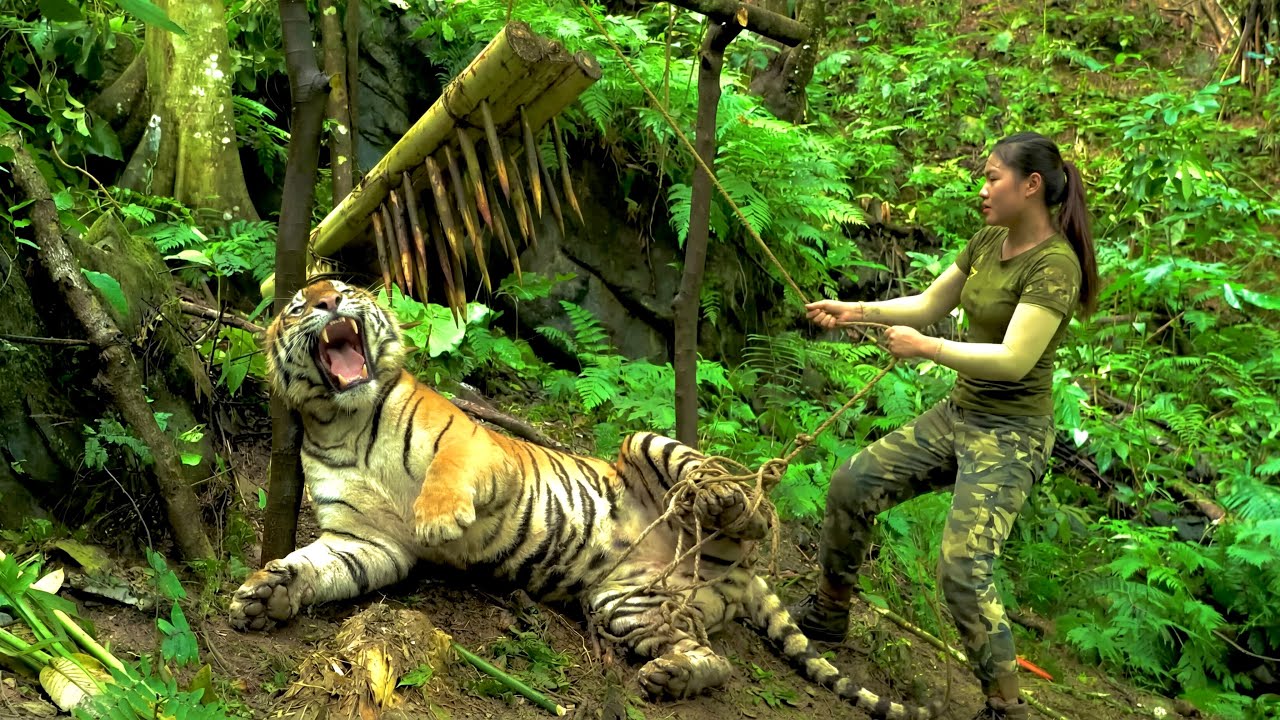 100d SURVIVAL: No Matter How intelligent The Tiger is, it Could Never Have imagined I Would Do This.