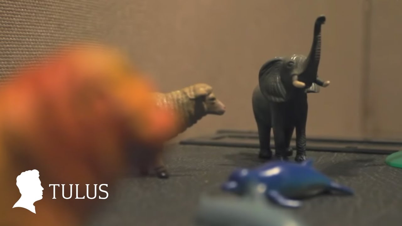 TULUS - Diorama (Studio Live)