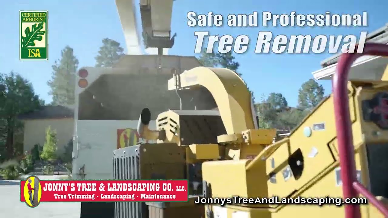 Safe & Professional Tree Removal