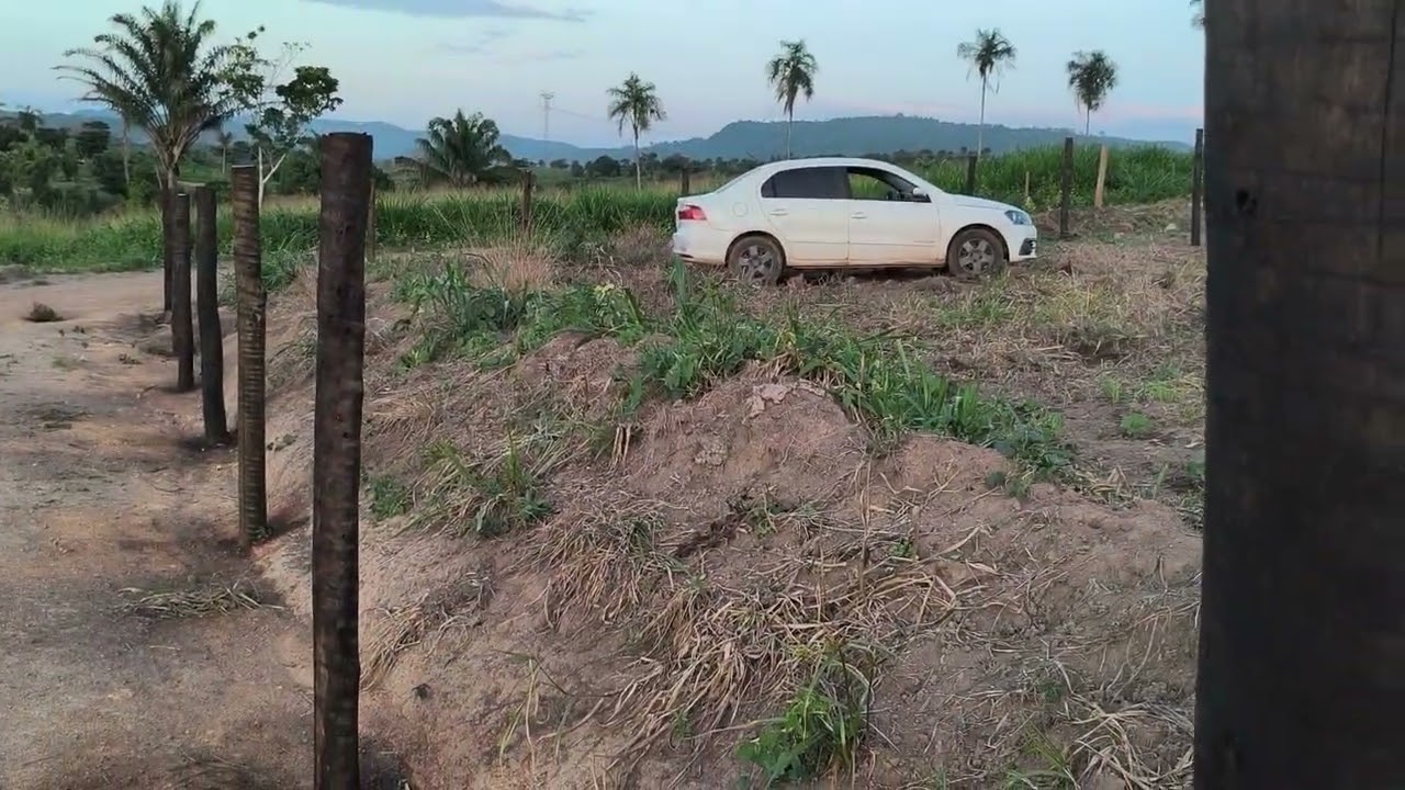 Hoje foi o dia de passar óleo nas estacas 