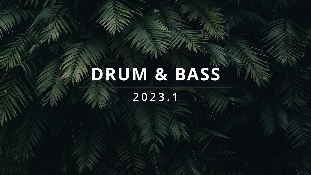 Drum & Bass 2023.1