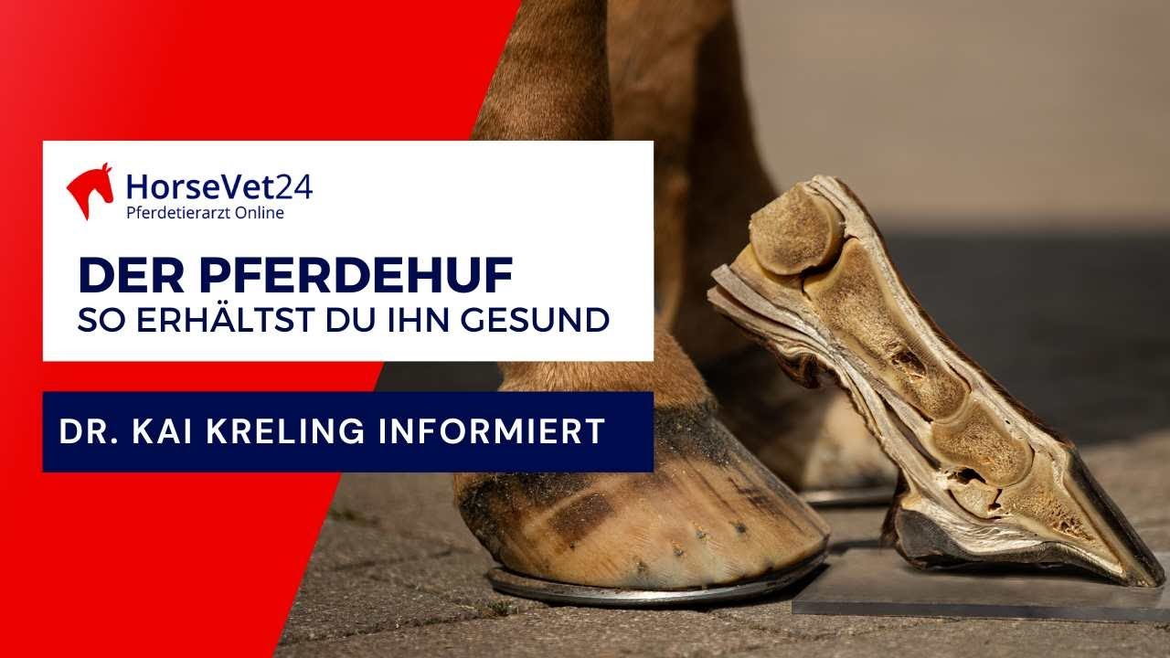Den Pferdehuf gesund erhalten.  Das sollte jeder Pferdemensch wissen