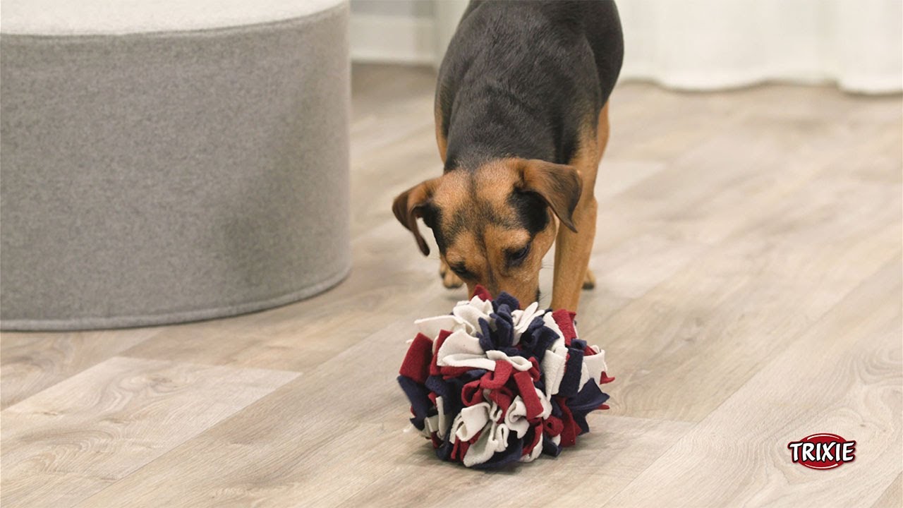 Sniffing Ball - das Snackspielzeug f&uuml;r Hunde von TRIXIE Heimtierbedarf