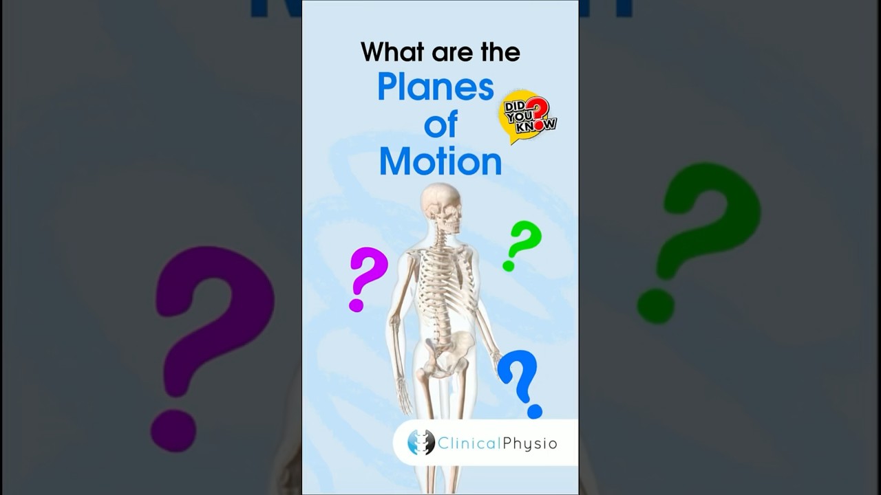 Planes of Motion #physicaltherapy #physiotherapy #anatomy #movement #rangeofmotion