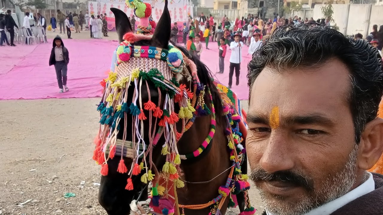 Video 🇮🇳🎬 block      #funny #rost #funny #comedyroast 